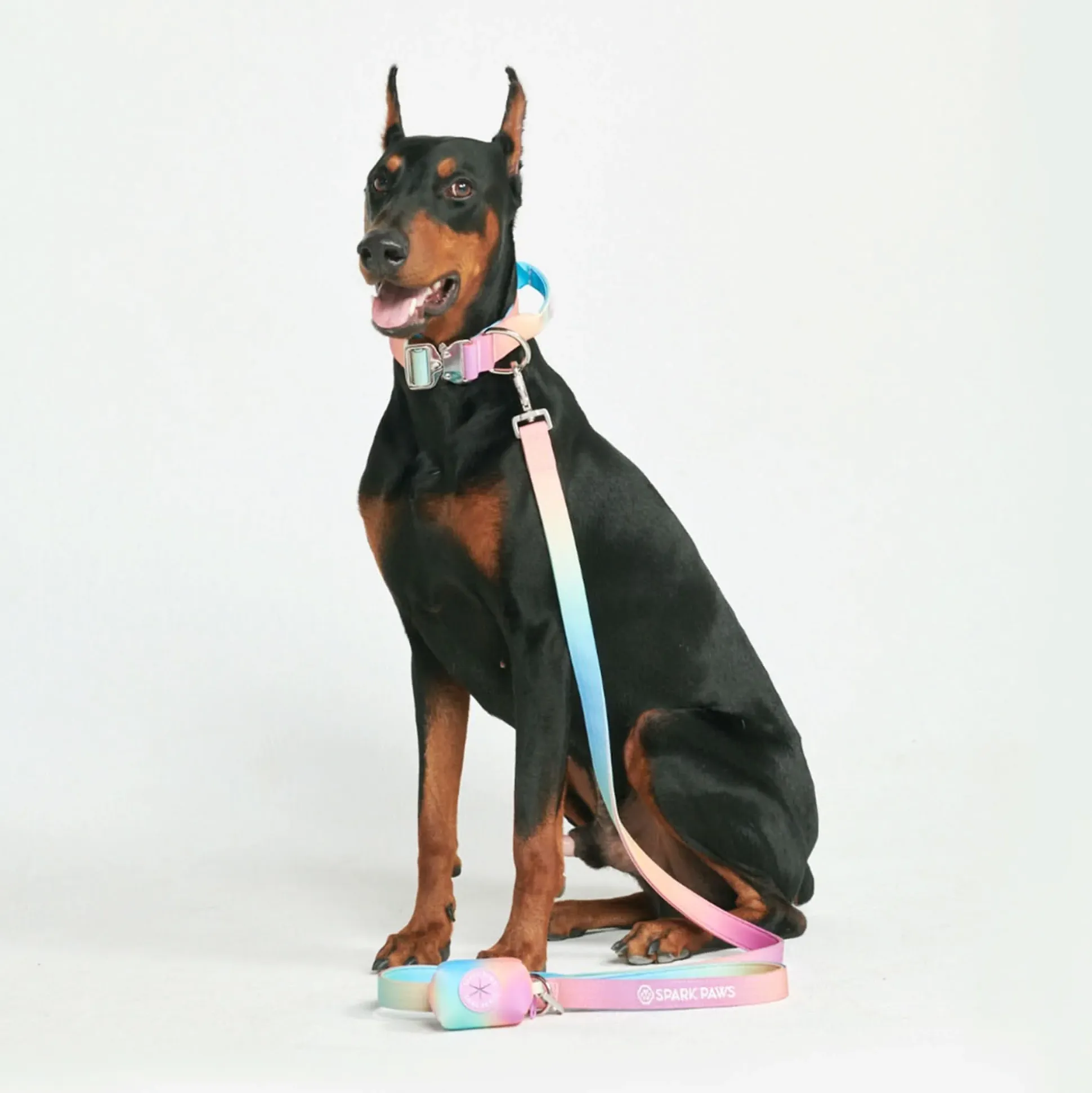 Leash and Poop Bag Holder Set - Pastel Icing