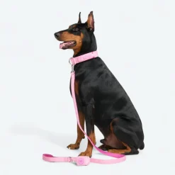 Leash and Poop Bag Holder Set - Pink