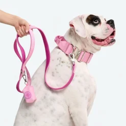 Leash and Poop Bag Holder Set - Pink