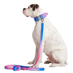 Leash and Poop Bag Holder Set - Snow Cone