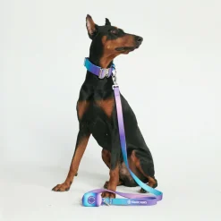 Leash and Poop Bag Holder Set - 90s Retro