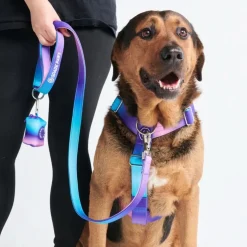 Leash and Poop Bag Holder Set - 90s Retro