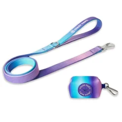 Leash and Poop Bag Holder Set - 90s Retro