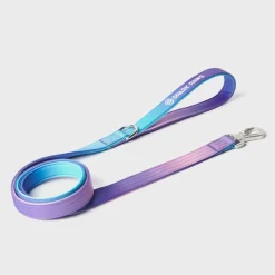 Leash and Poop Bag Holder Set - 90s Retro