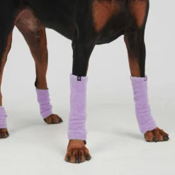 Leg Warmer and Earmuff Protector Set - Purple