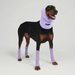 Leg Warmer and Earmuff Protector Set - Purple