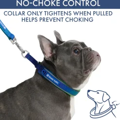 Martingale Collar and Multipurpose Leash Sets