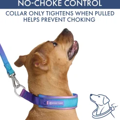 Martingale Collar and Multipurpose Leash Sets