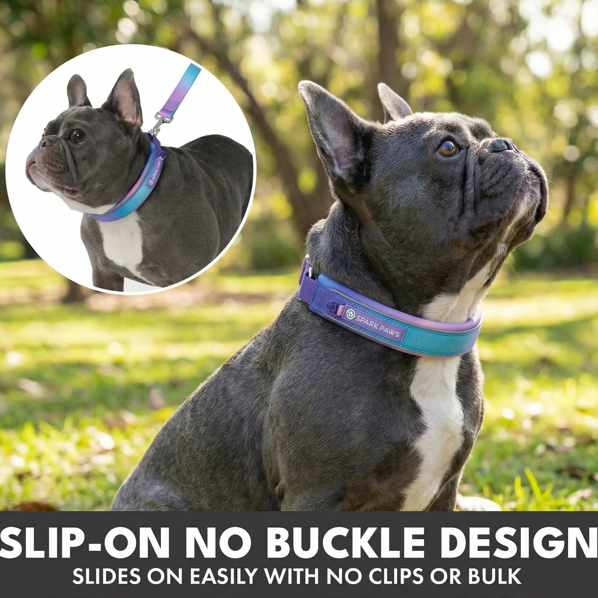 Martingale Collar and Multipurpose Leash Sets