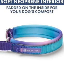 Martingale Collar and Multipurpose Leash Sets