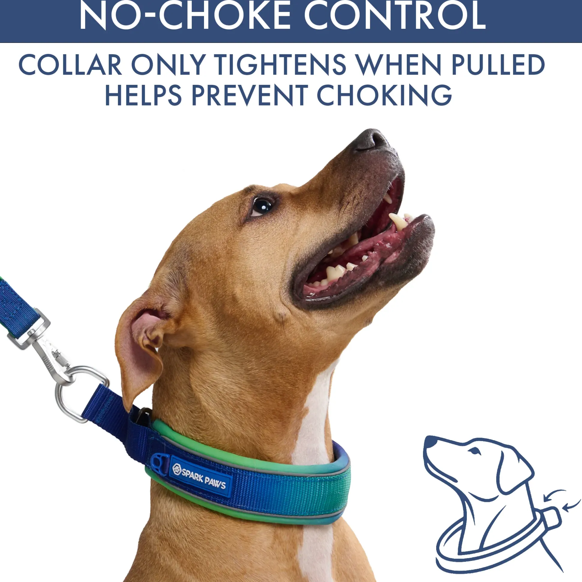 Martingale Collar and Multipurpose Leash Sets