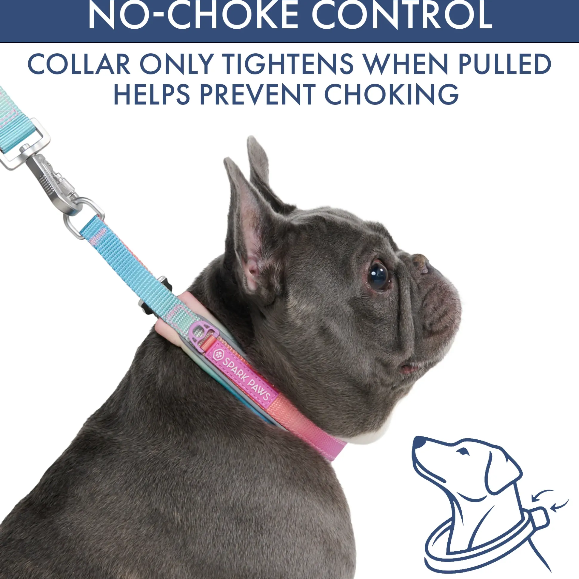 Martingale Collar and Multipurpose Leash Sets
