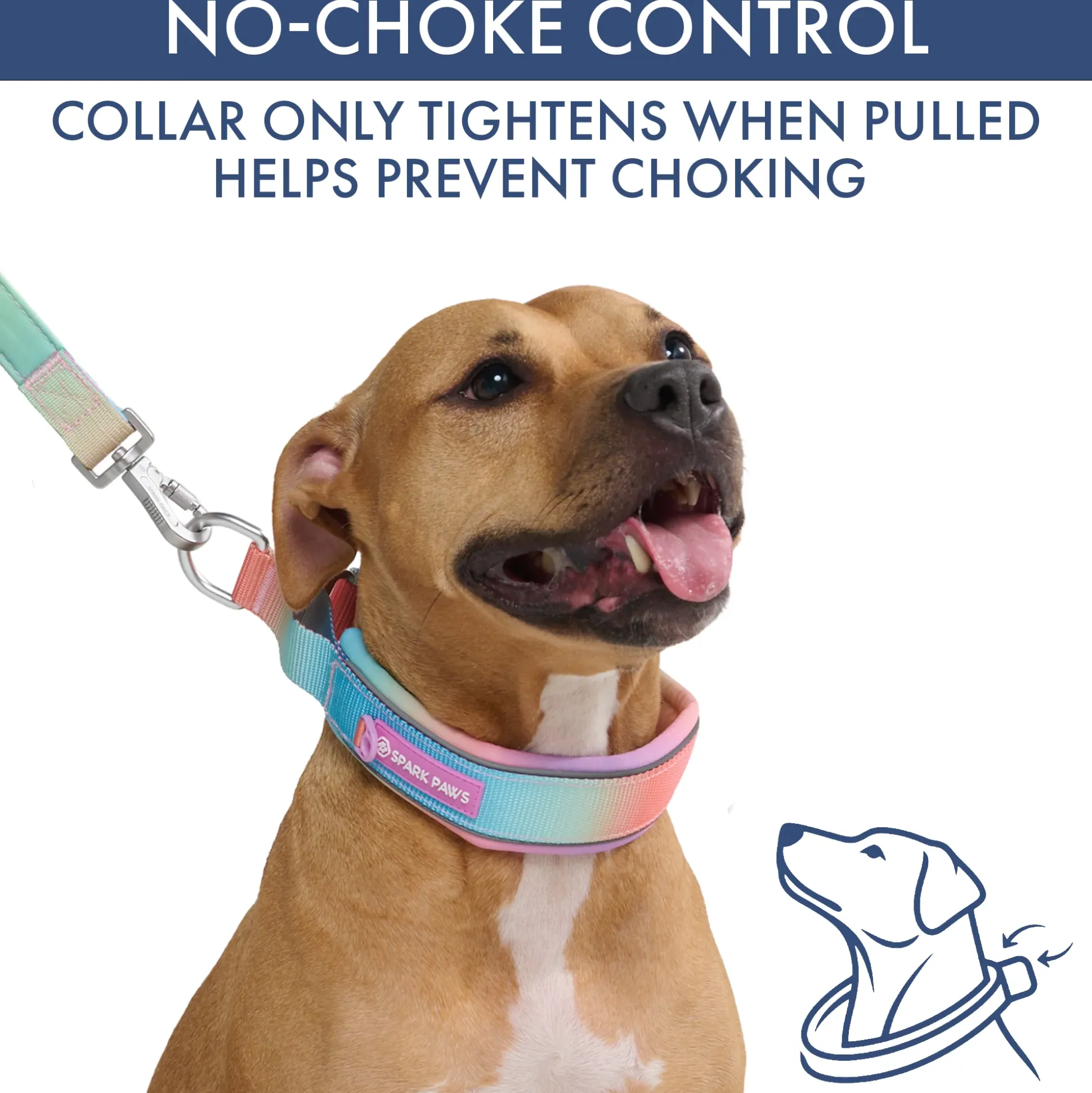 Martingale Collar and Multipurpose Leash Sets