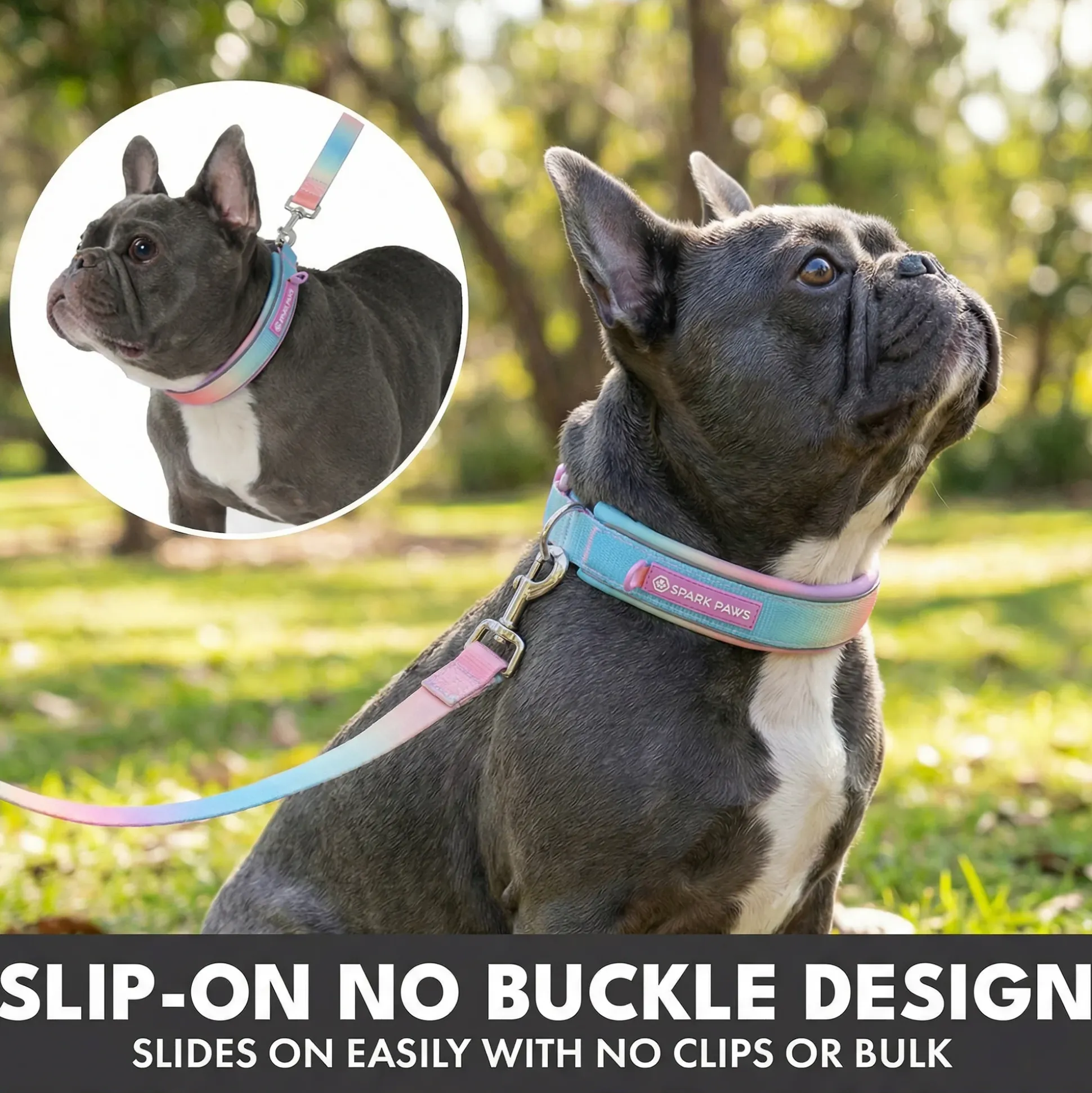 Martingale Collar and Multipurpose Leash Sets