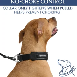 Martingale Collar and Multipurpose Leash Sets