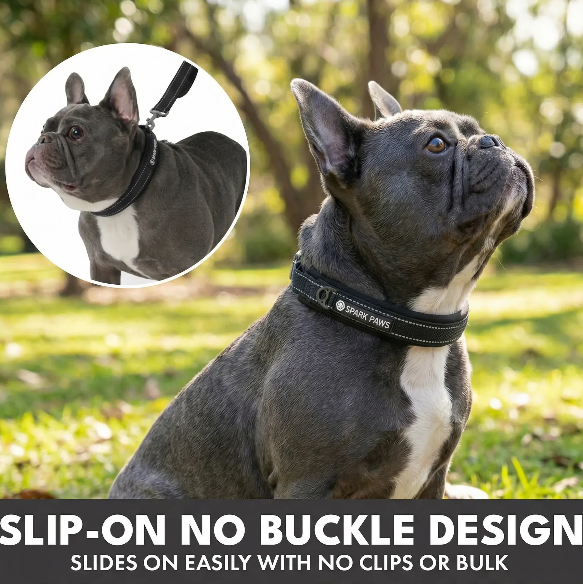 Martingale Collar and Multipurpose Leash Sets