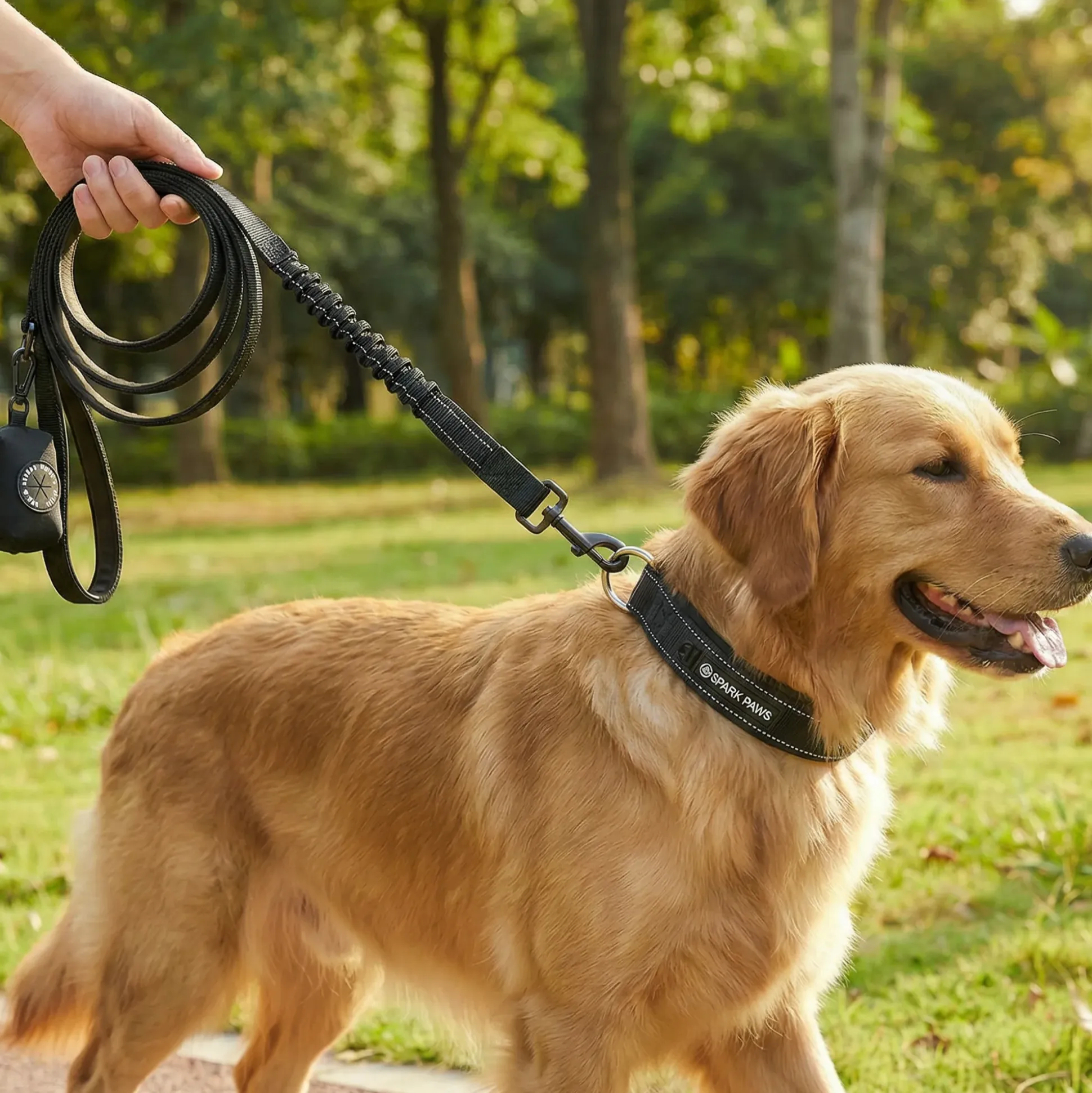 Martingale Collar and Multipurpose Leash Sets