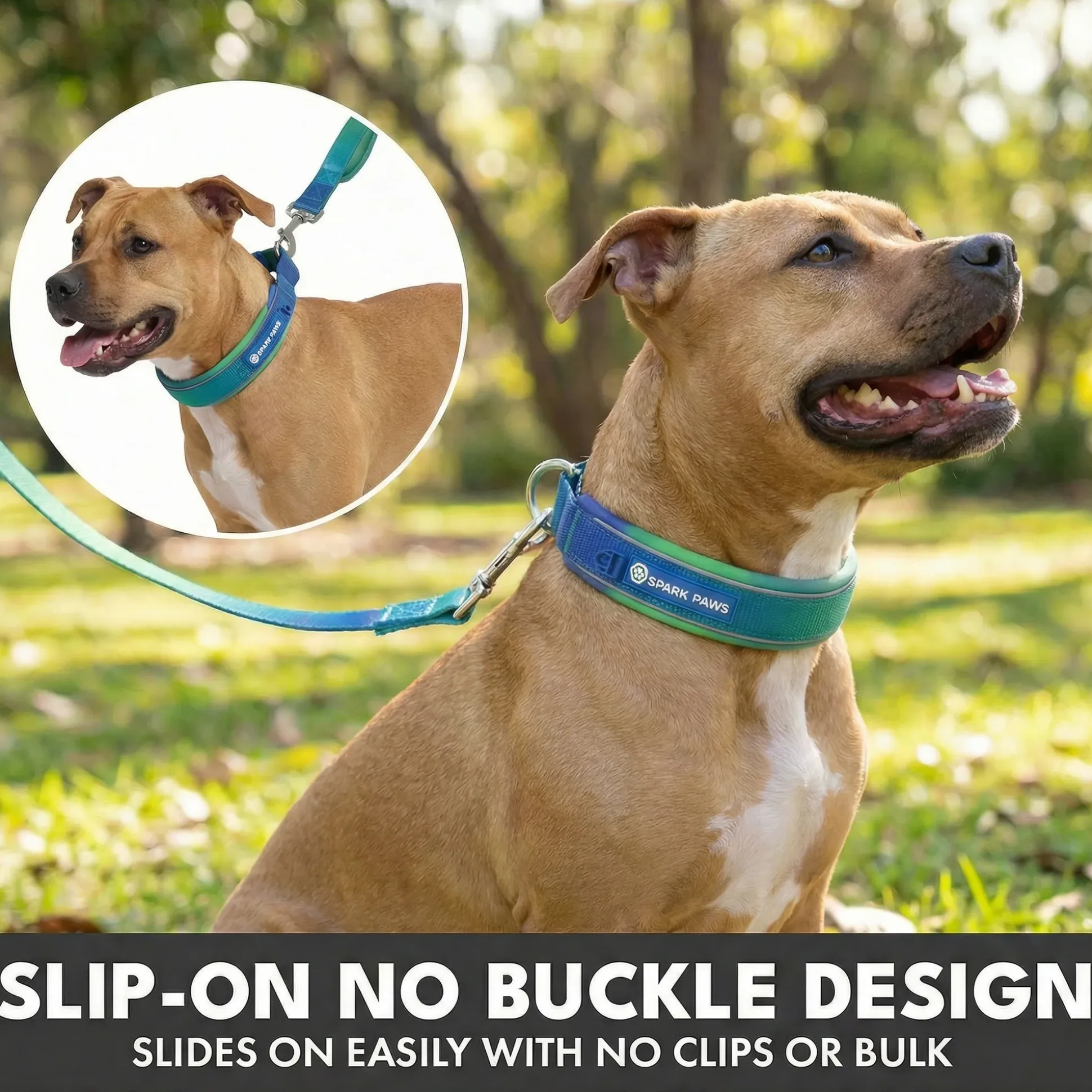 Martingale Collar and Multipurpose Leash Sets