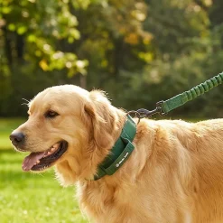 Martingale Collar and Multipurpose Leash Sets