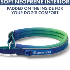 Martingale Collar and Multipurpose Leash Sets