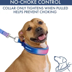 Martingale Collar and Multipurpose Leash Sets