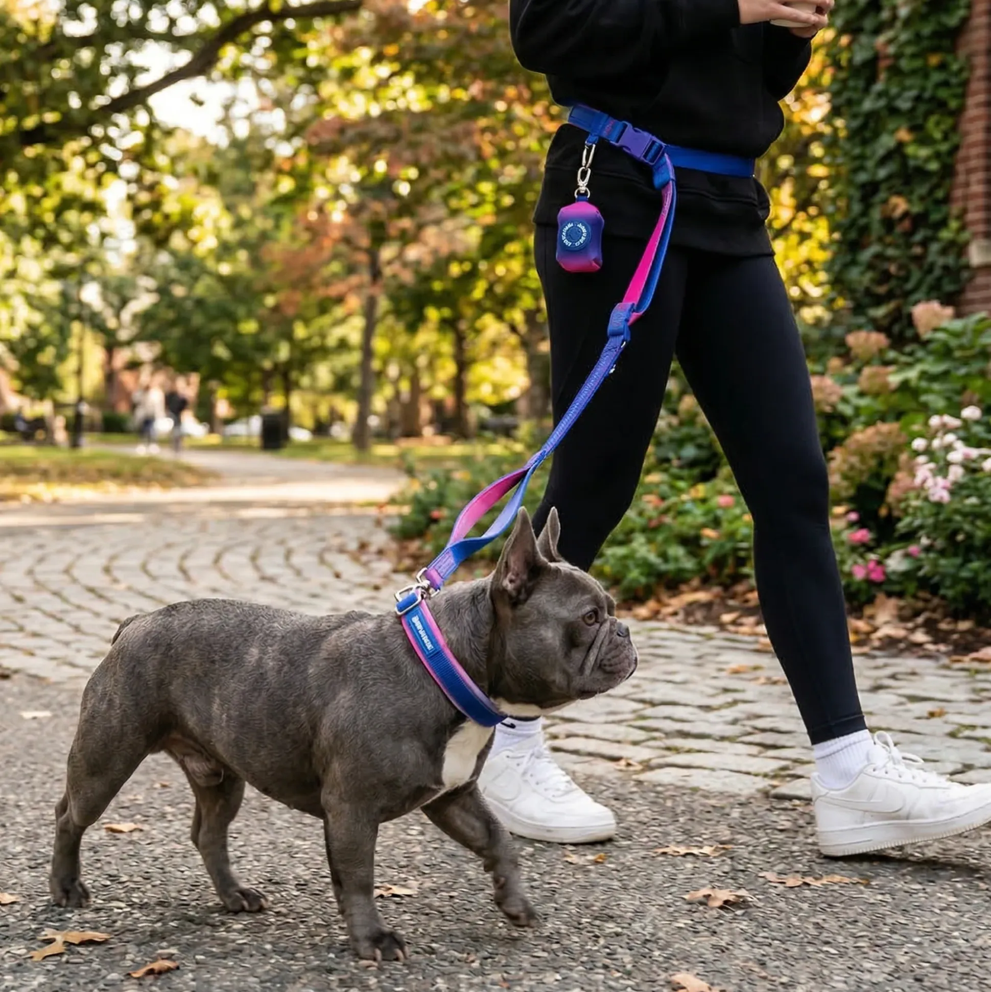 Martingale Collar and Multipurpose Leash Sets