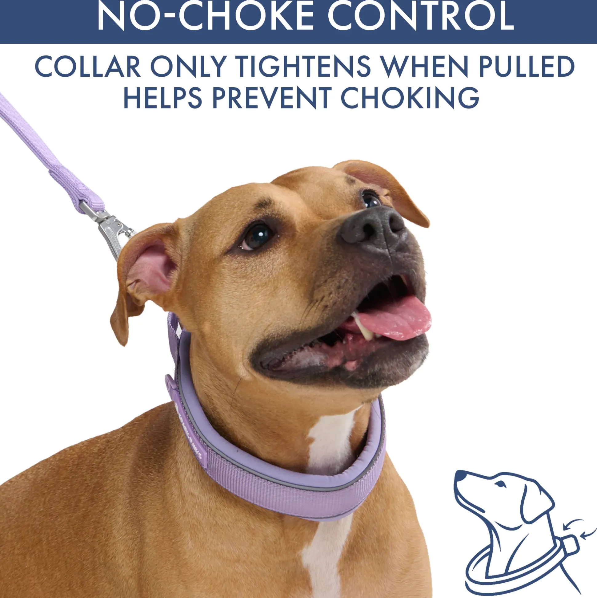 Martingale Collar and Multipurpose Leash Sets