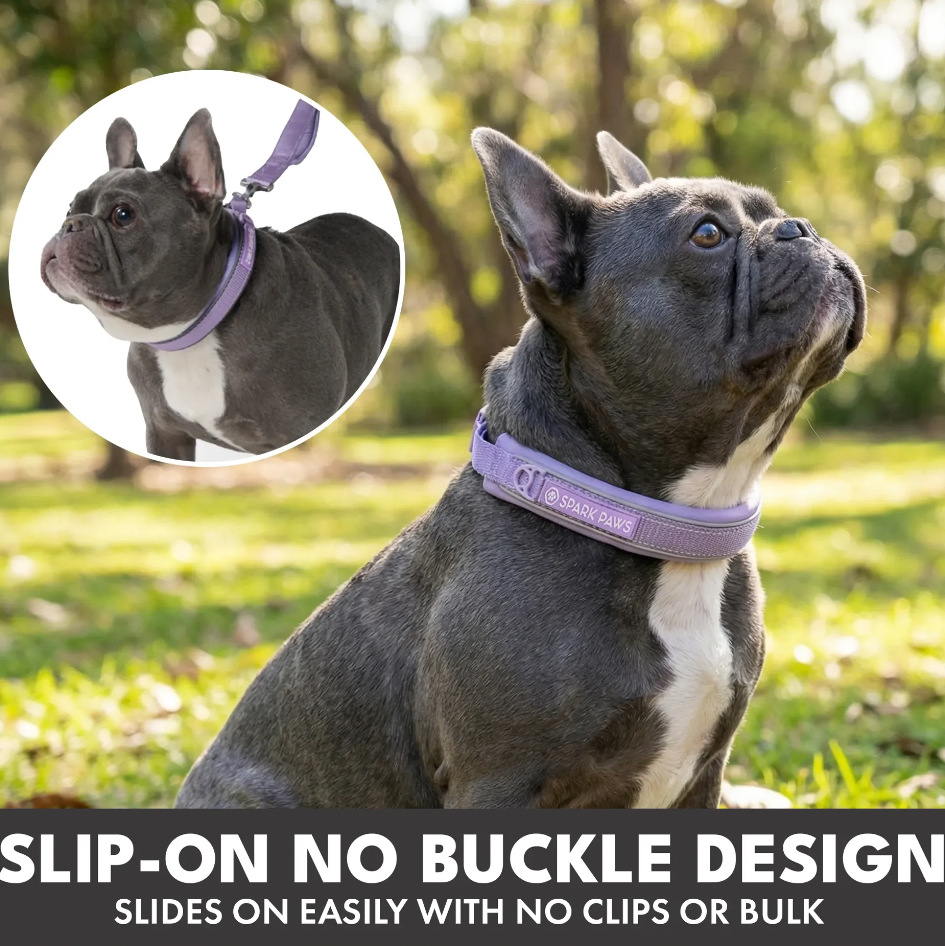 Martingale Collar and Multipurpose Leash Sets