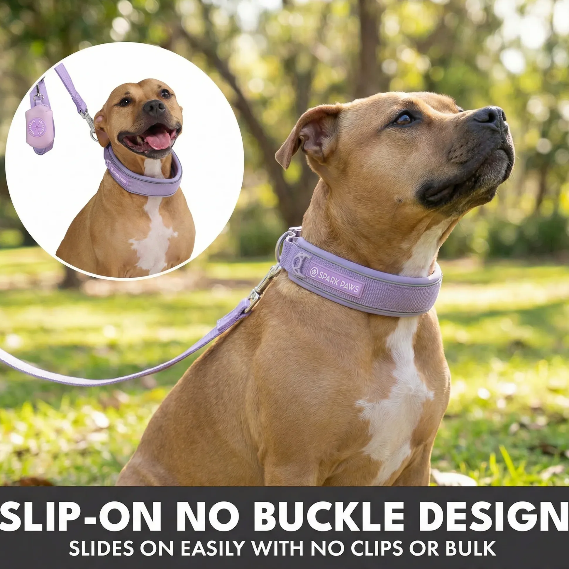 Martingale Collar and Multipurpose Leash Sets