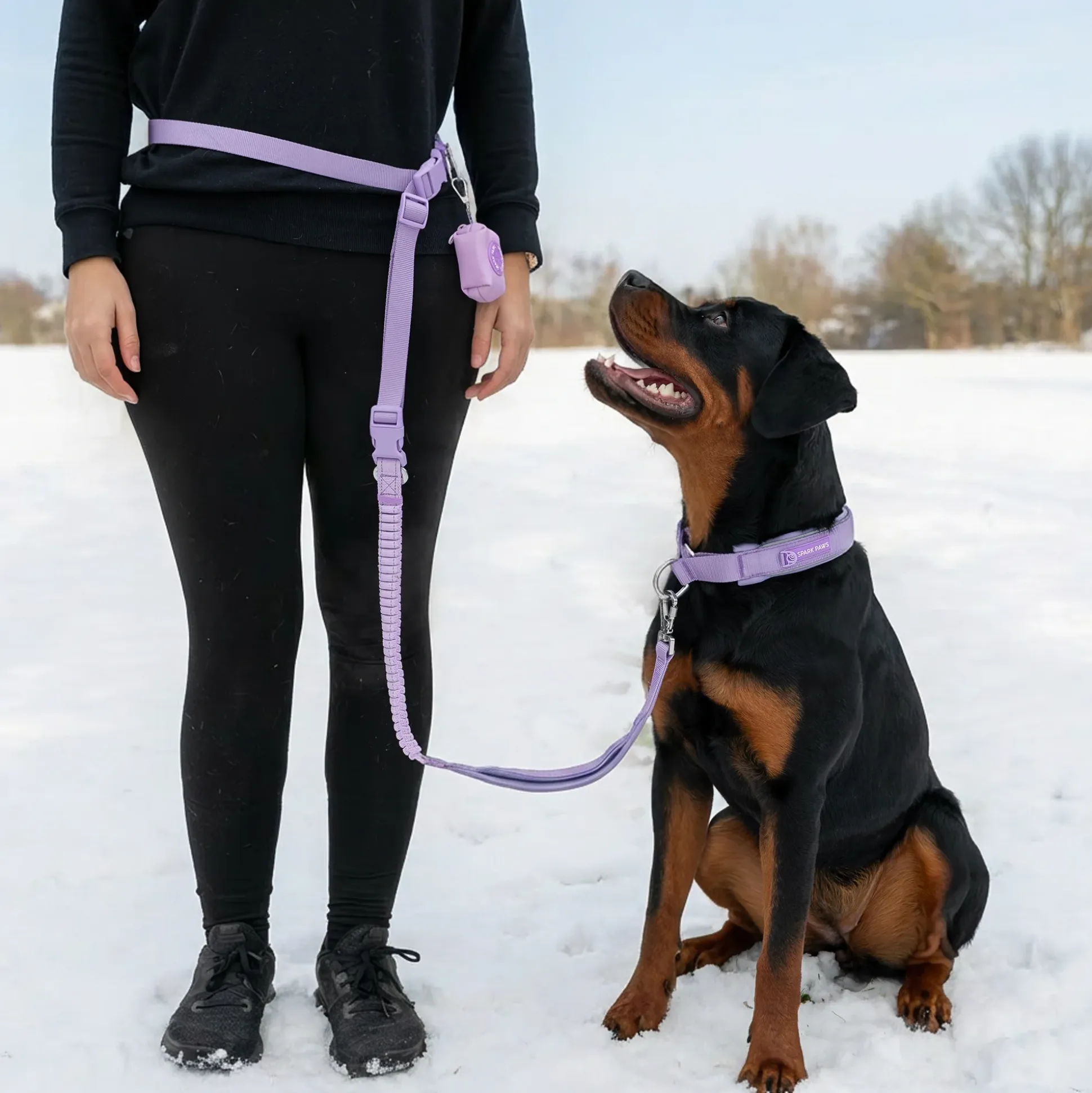 Martingale Collar and Multipurpose Leash Sets
