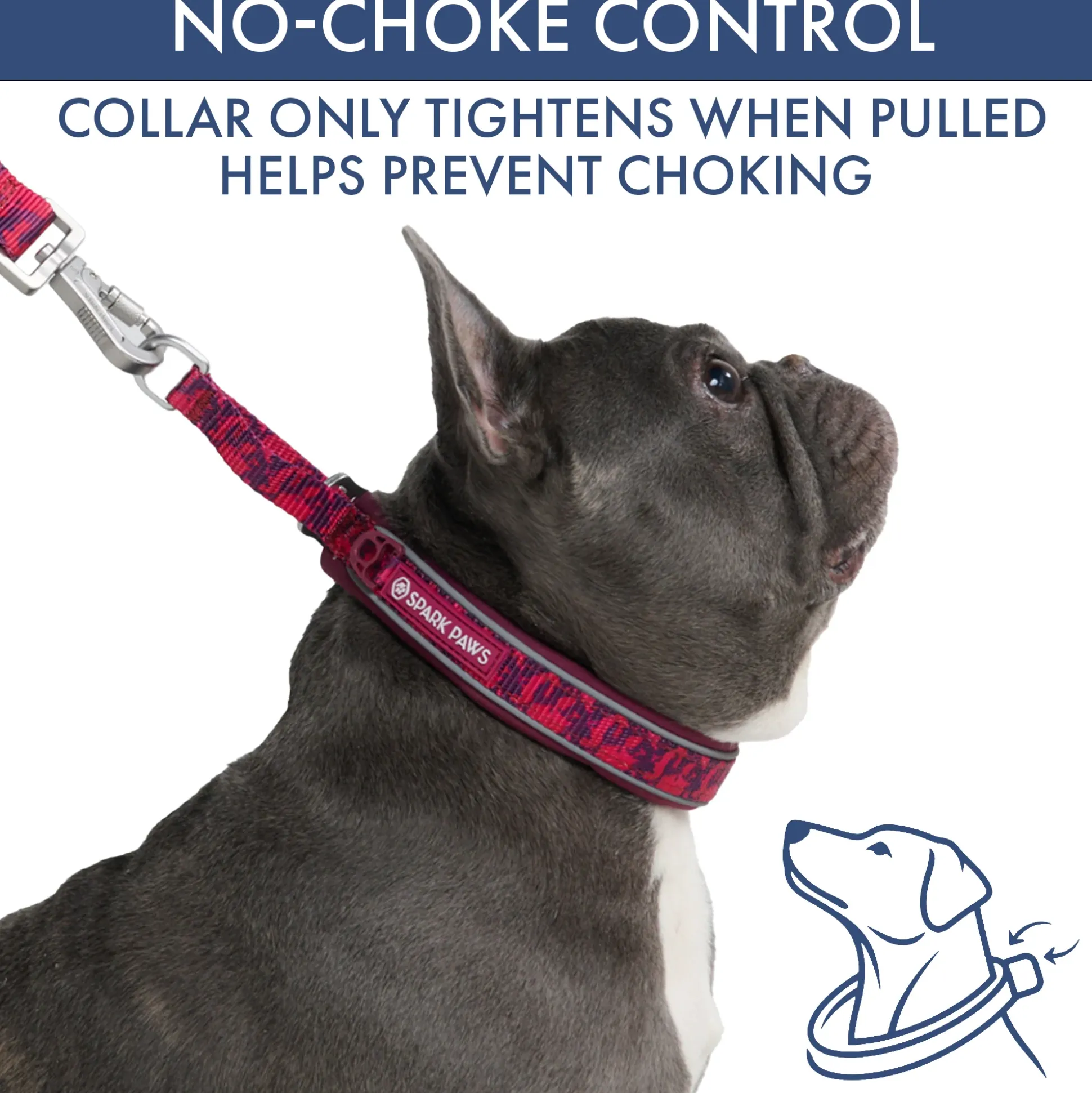 Martingale Collar and Multipurpose Leash Sets