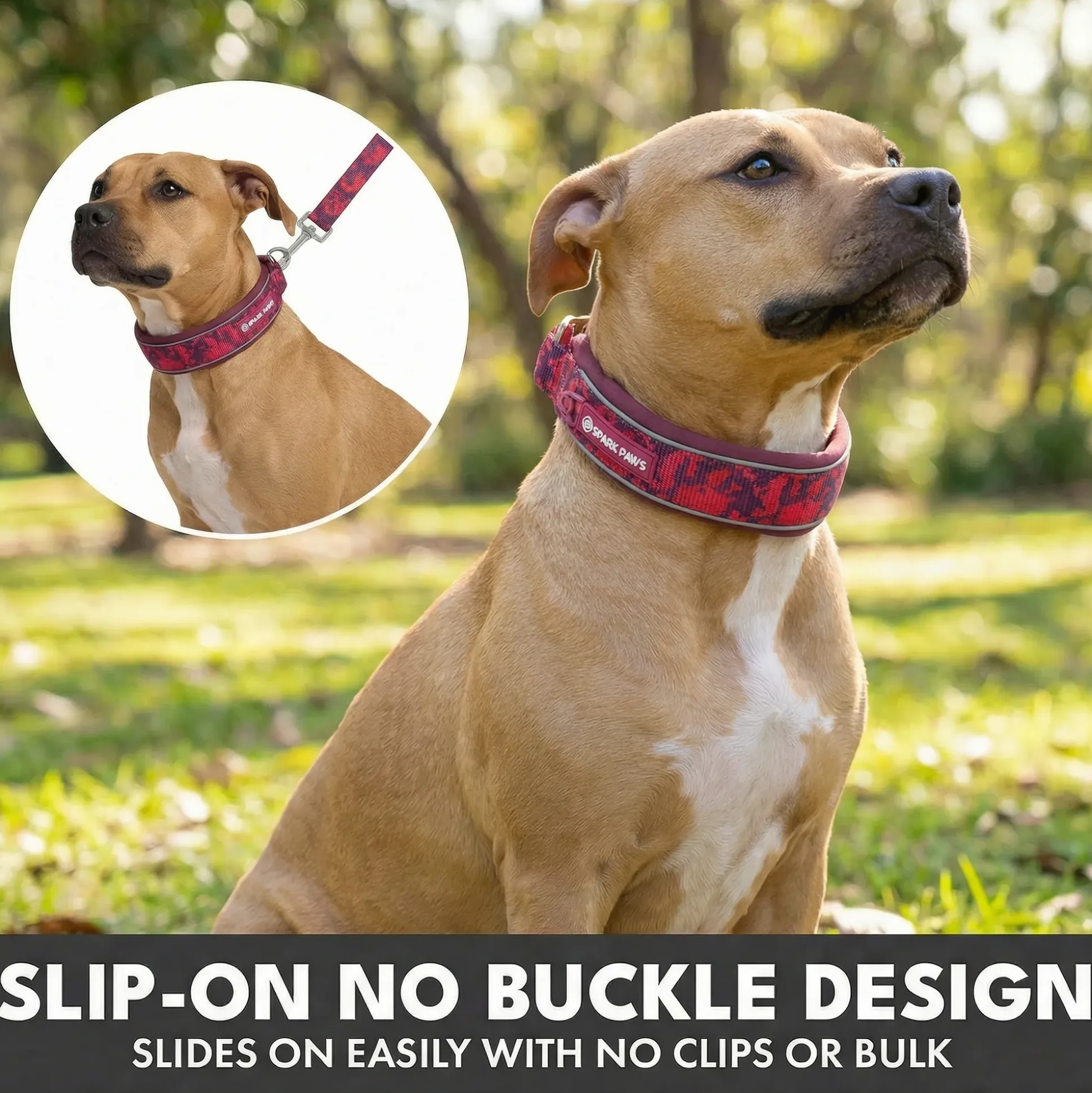 Martingale Collar and Multipurpose Leash Sets