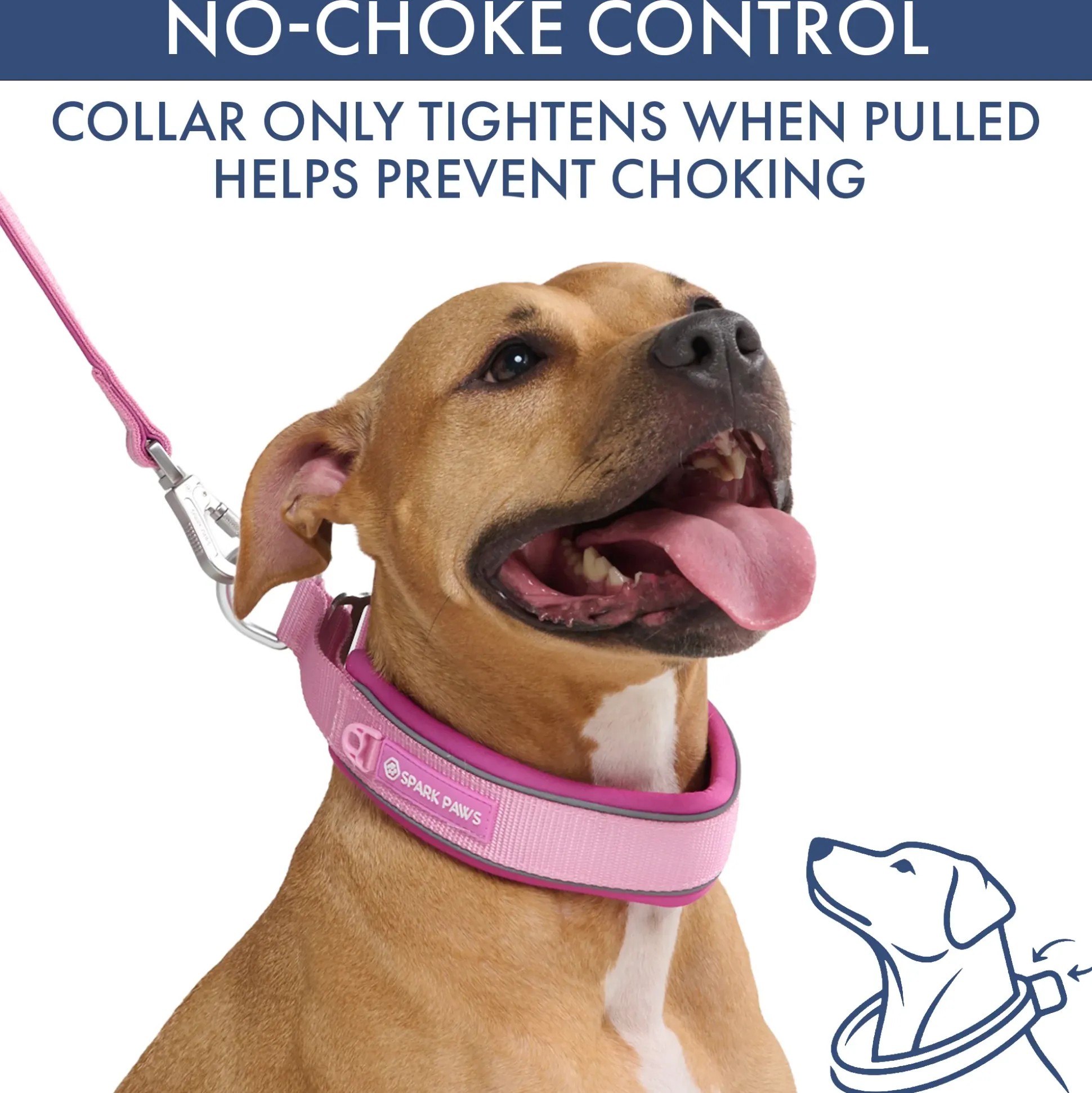 Martingale Collar and Multipurpose Leash Sets