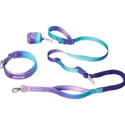 Martingale Collar and Multipurpose Leash Set - 90s Retro