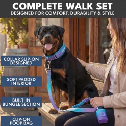 Martingale Collar and Multipurpose Leash Set - 90s Retro