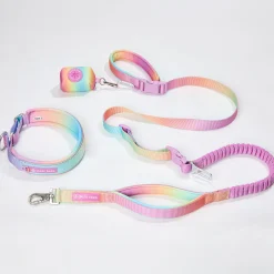 Martingale Collar and Multipurpose Leash Set - Pastel Icing