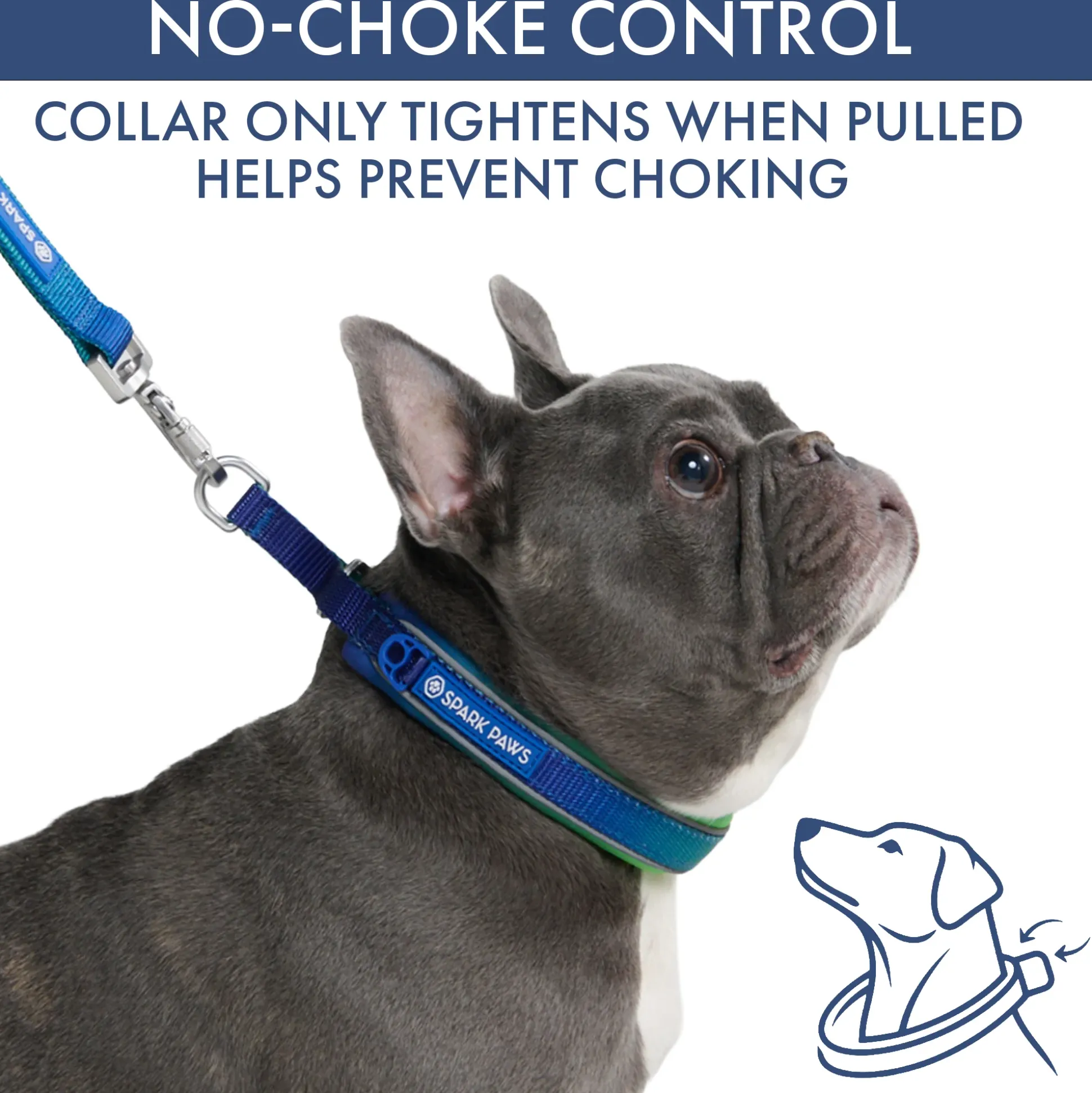 Martingale Collar and Multipurpose Leash Set - Lime Wave