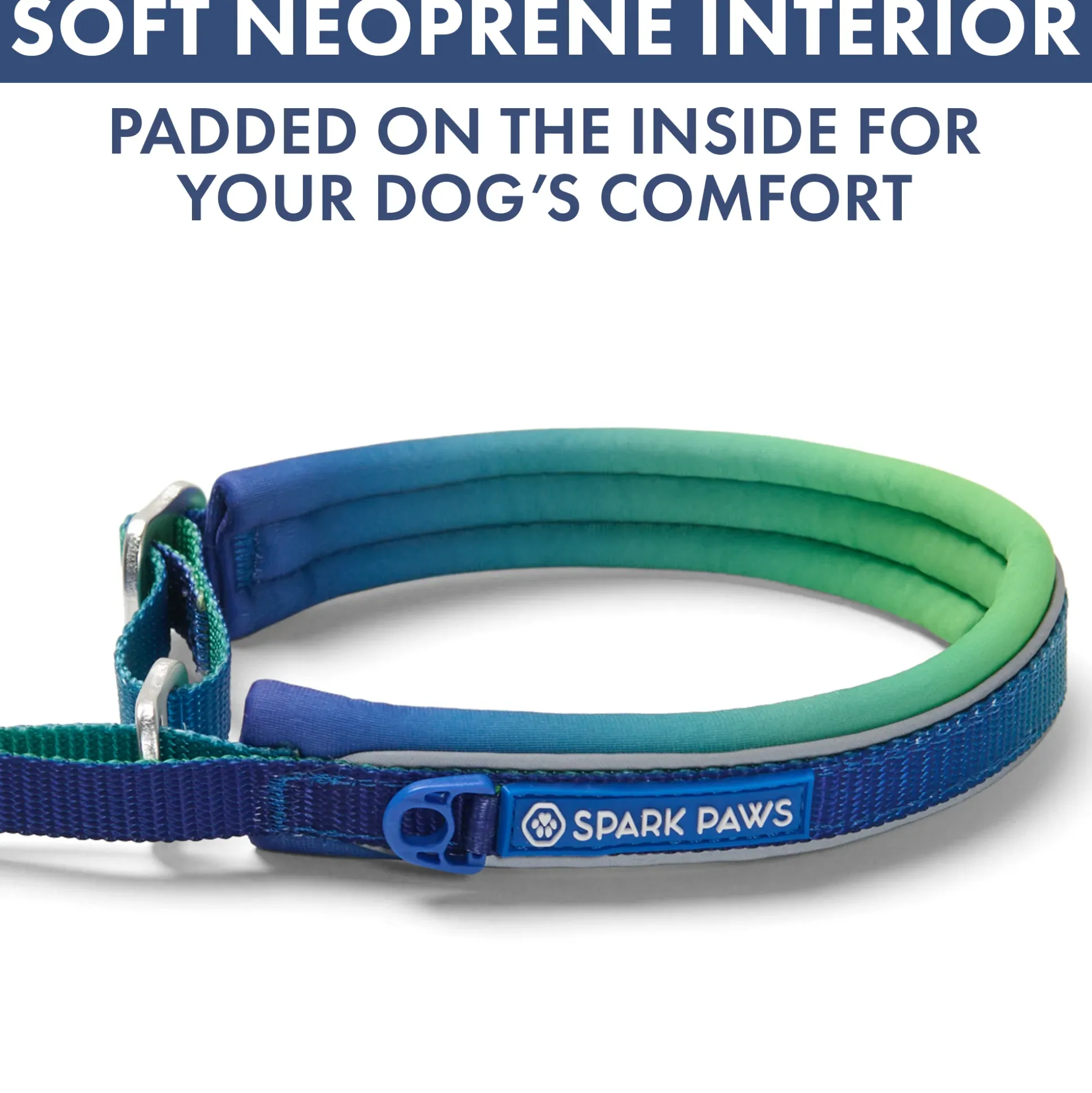 Martingale Collar and Multipurpose Leash Set - Lime Wave