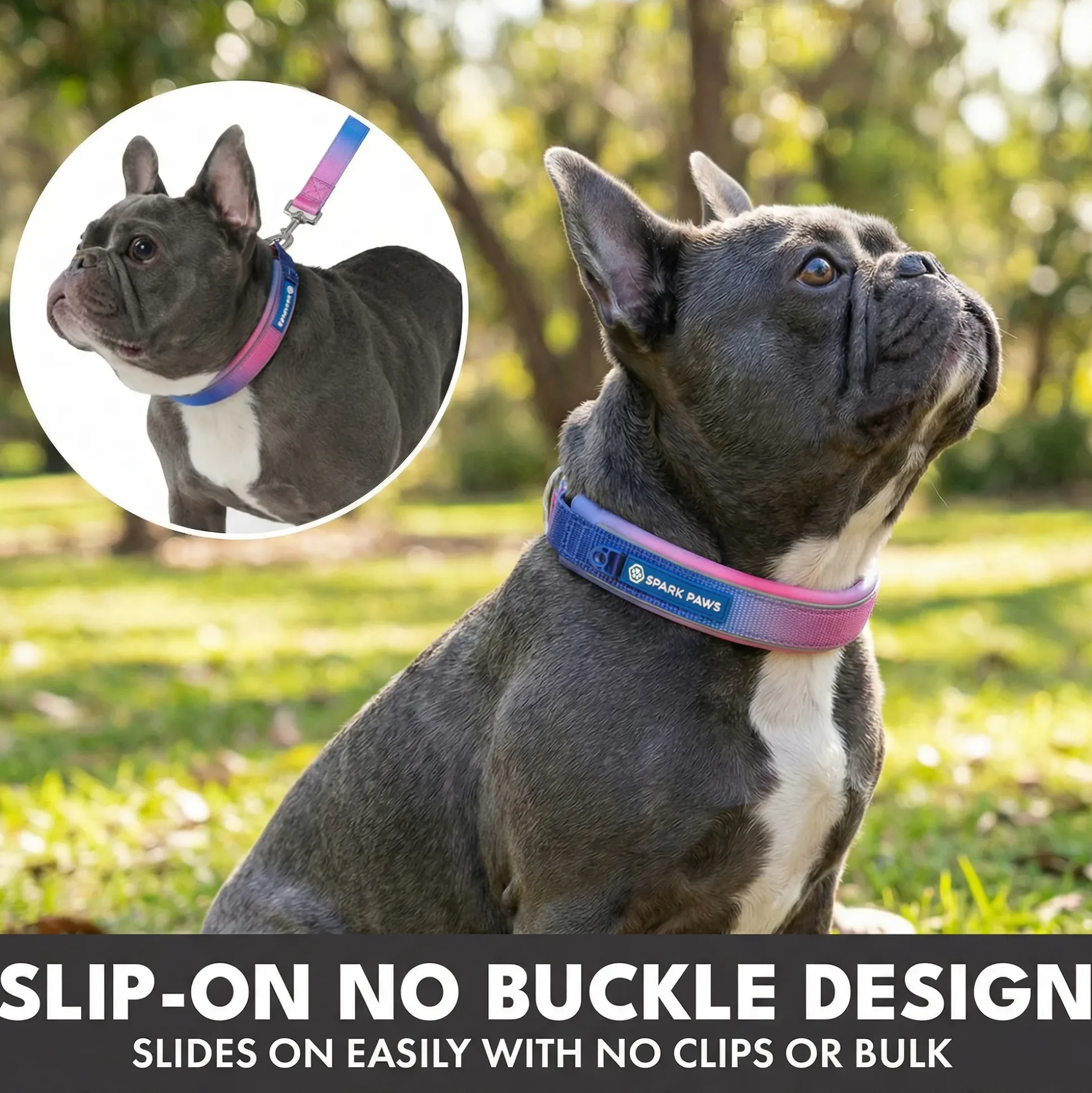 Martingale Collar and Multipurpose Leash Set - Snow Cone