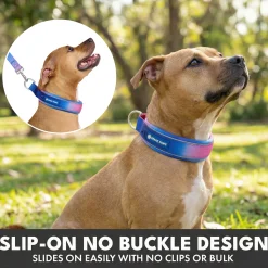 Martingale Collar and Multipurpose Leash Set - Snow Cone