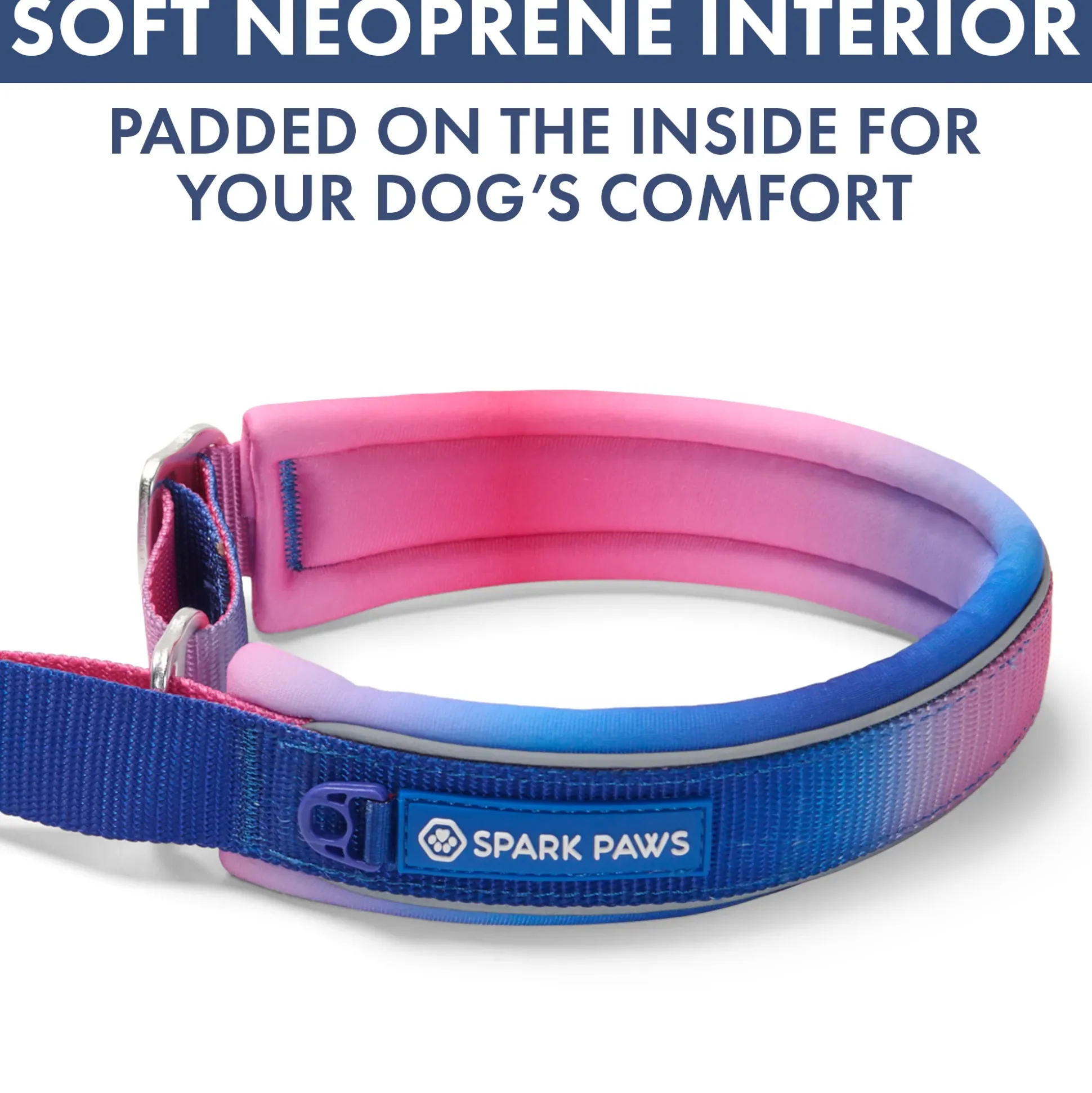 Martingale Collar and Multipurpose Leash Set - Snow Cone