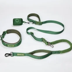 Martingale Collar and Multipurpose Leash Set - Army Green