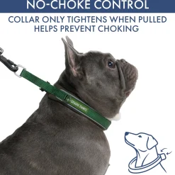 Martingale Collar and Multipurpose Leash Set - Army Green