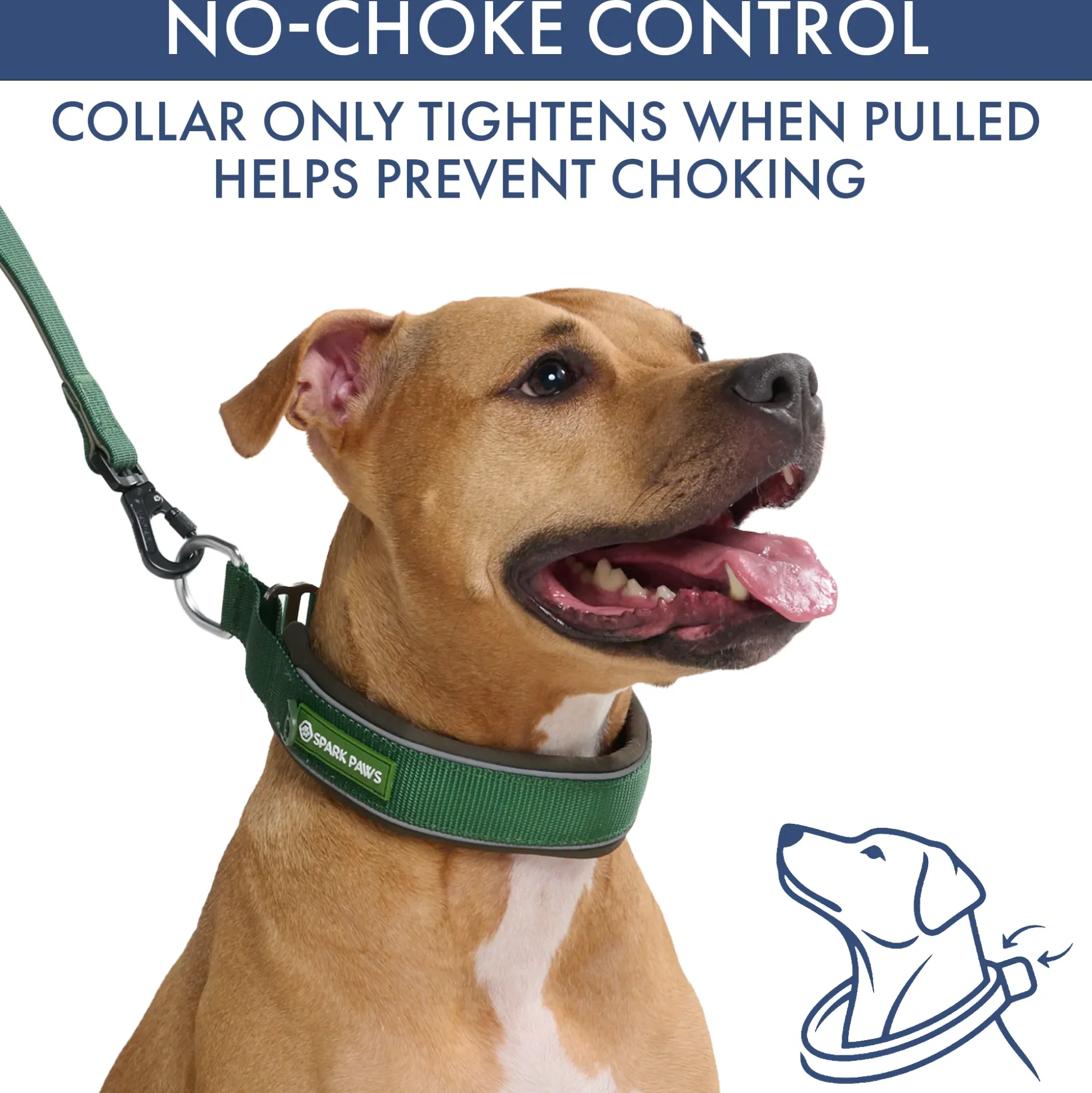 Martingale Collar and Multipurpose Leash Set - Army Green