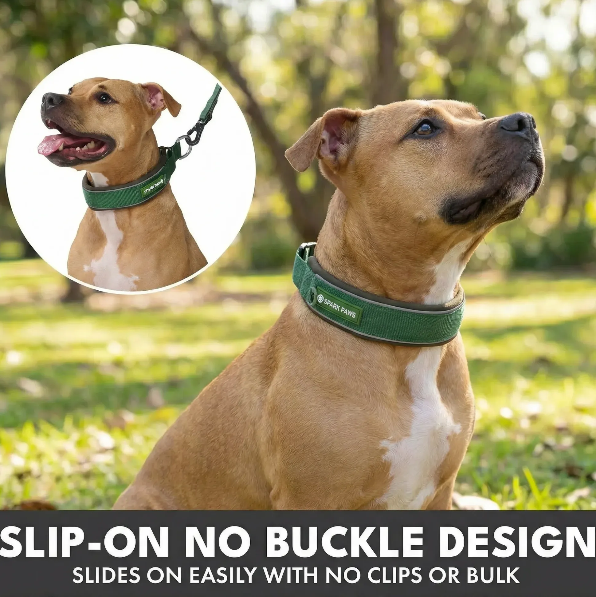 Martingale Collar and Multipurpose Leash Set - Army Green