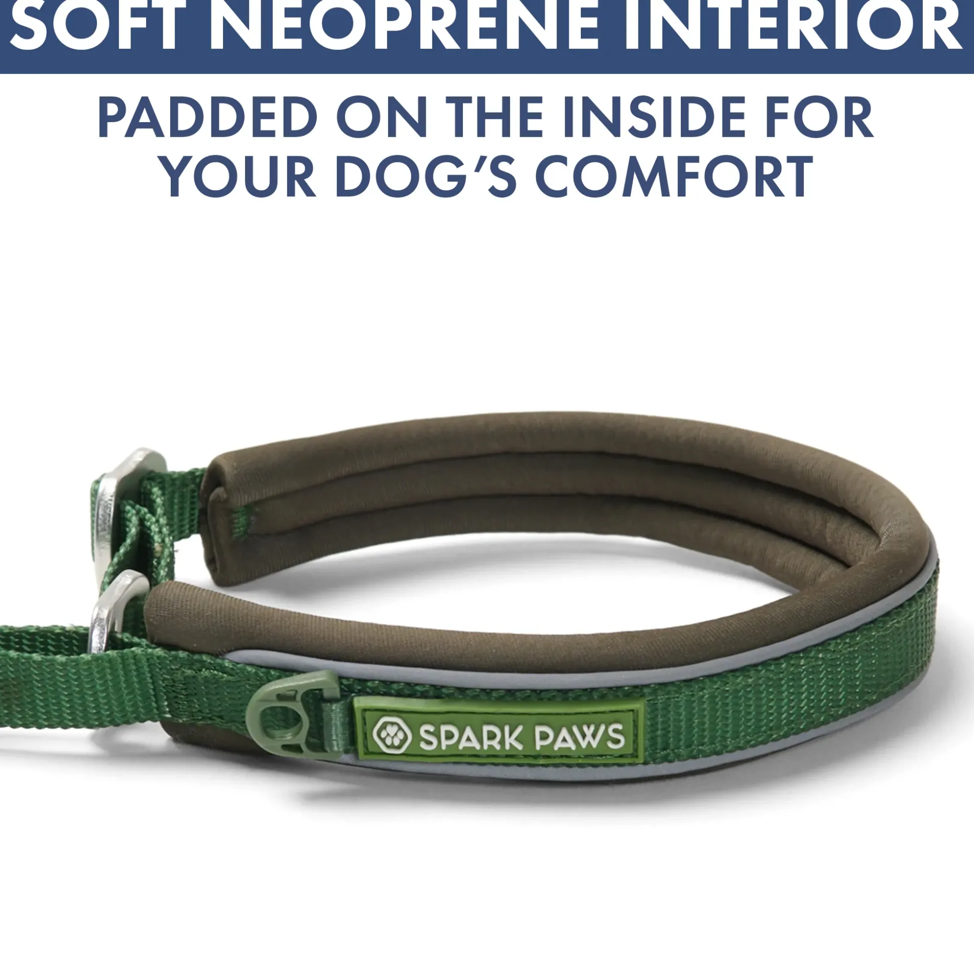 Martingale Collar and Multipurpose Leash Set - Army Green