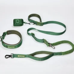 Martingale Collar and Multipurpose Leash Set - Army Green