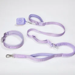 Martingale Collar and Multipurpose Leash Set - Lilac