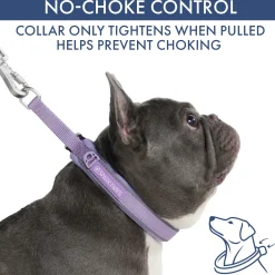 Martingale Collar and Multipurpose Leash Set - Lilac