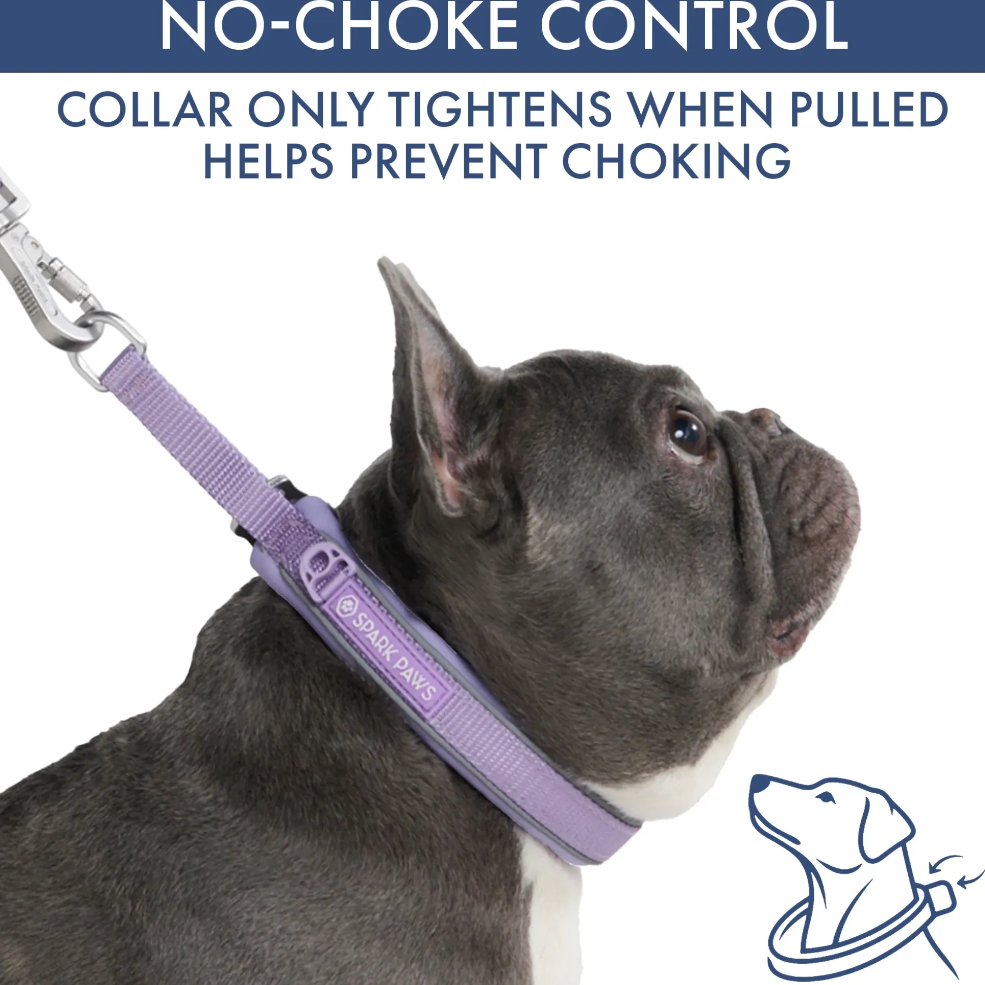 Martingale Collar and Multipurpose Leash Set - Lilac
